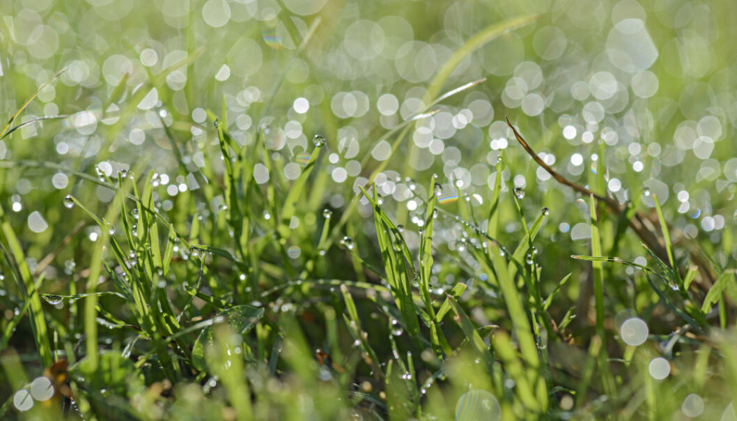 To understand the weather, you have to understand raindrops. (Illustrative photo: Colourbox.) To understand the weather, you have to understand raindrops. (Illustrative photo: Colourbox.)