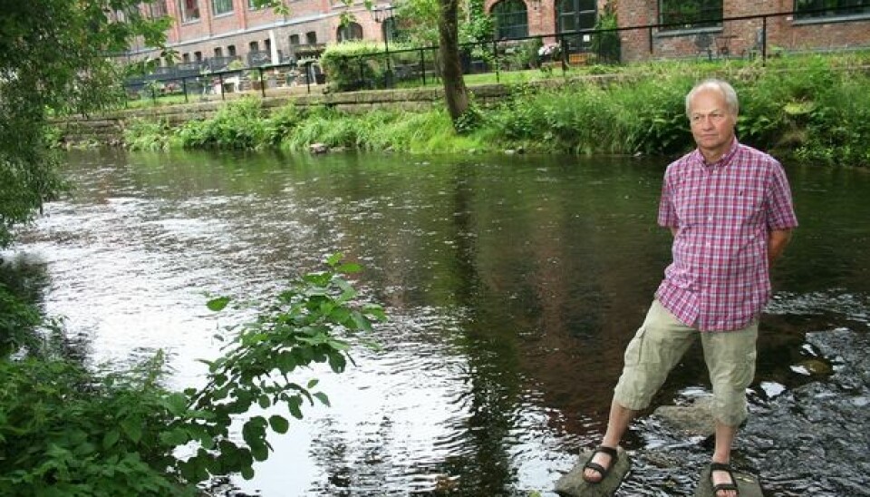 The polluted Akers river without fish has become a healthy watercourse with salmon and trout. Here is scientist Svein Jakob Saltveit in front of Lilleborg, a former soap and detergent factory, now gentrified into modern flats in idyllic surroundings. (Photo: Andreas R. Graven)
