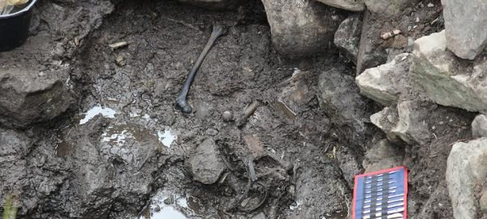 Norwegian viking saga confirmed by archaeological discovery