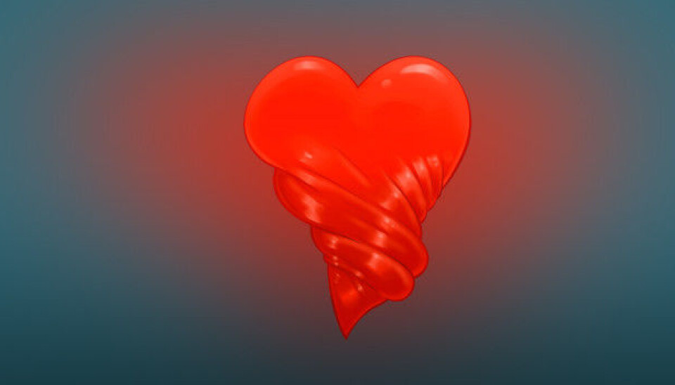 When blood empties from the left ventricle, it makes a twisting motion, a bit like wringing out a washcloth. Illustration: NTNU