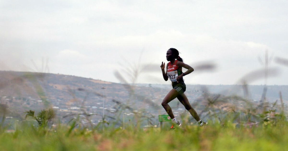 Learning from the best long-distance runners