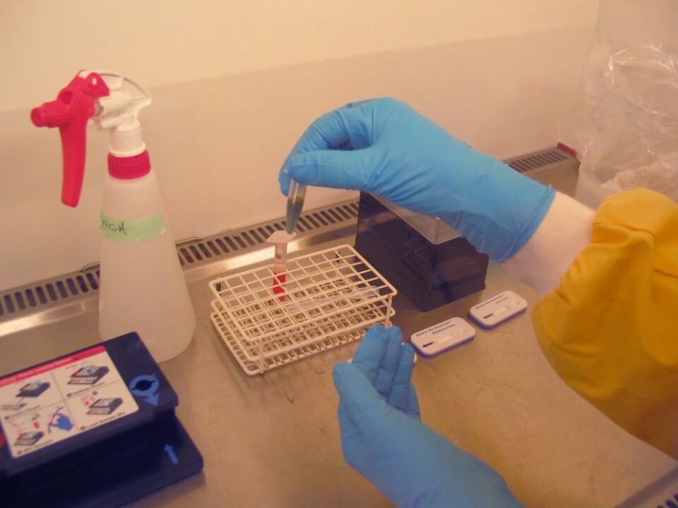 Here’s how researchers study a sample using a test chip. (Photo: FFI)