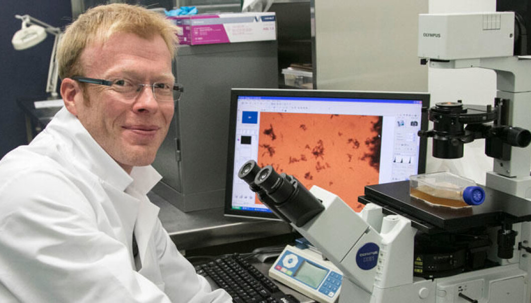 Professor Erik Andrew Johannessen has been project lead in the Pac-Man project. (Photo: Knut J. Meland/HSN) Professor Erik Andrew Johannessen has been project lead in the Pac-Man project. (Photo: Knut J. Meland/HSN)