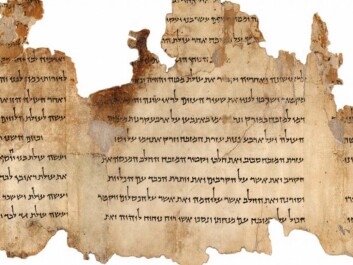 A portion of the Temple Scroll (Photo: The Israel Museum's Digital Dead Sea Scrolls project) A portion of the Temple Scroll (Photo: The Israel Museum's Digital Dead Sea Scrolls project)