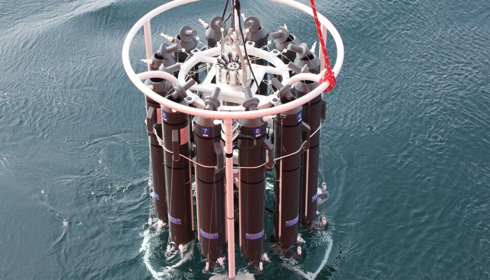 Are efforts against lead contamination working?