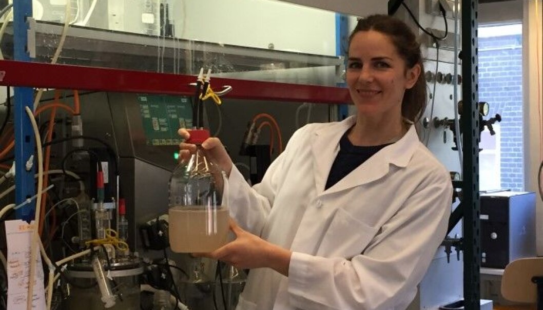 Monica Conthe is growing greenhouse gas consuming bacteria. (Photo: NORA) Monica Conthe is growing greenhouse gas consuming bacteria. (Photo: NORA)