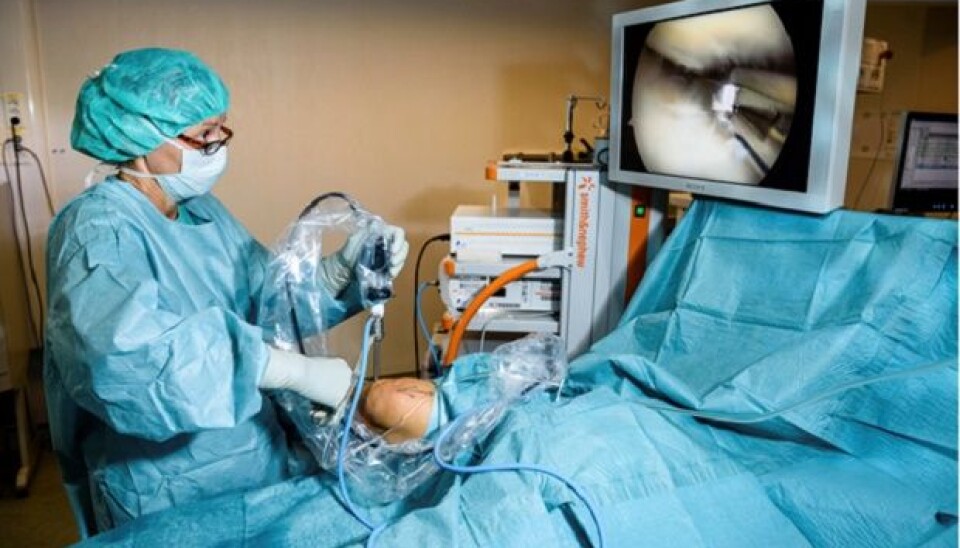 Nina Jullum Kise, PhD candidate, orthopaedic surgeon and senior consultant, performing an arthroscopic procedure on the meniscus of a patient. (Photo: Øystein Horgmo, UiO)