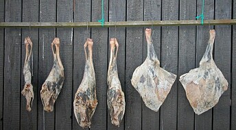 Three-step drying keeps people fed in Faroe Islands