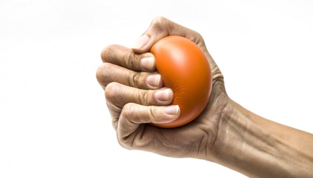 A total of 6,850 participants aged 50 to 80 took part in the new Norwegian study of grip strength and causes of death. (Photo: Chutima Chaochaiya, Shutterstock, NTB scanpix) A total of 6,850 participants aged 50 to 80 took part in the new Norwegian study of grip strength and causes of death. (Photo: Chutima Chaochaiya, Shutterstock, NTB scanpix)