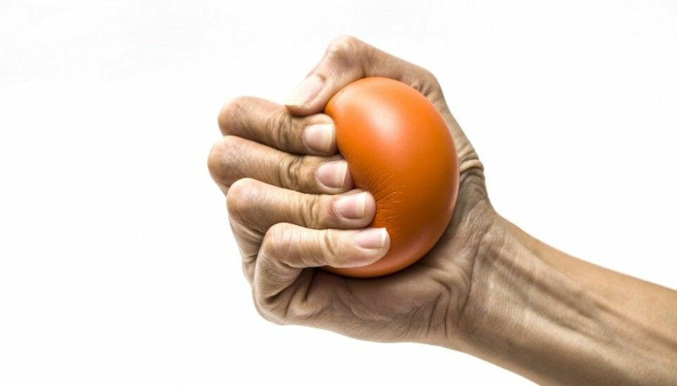 A total of 6,850 participants aged 50 to 80 took part in the new Norwegian study of grip strength and causes of death. (Photo: Chutima Chaochaiya, Shutterstock, NTB scanpix)