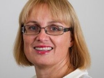 According to Gry Agnete Alsos, Norwegian and Swedish business cultures have much in common. (Photo: UiN) According to Gry Agnete Alsos, Norwegian and Swedish business cultures have much in common. (Photo: UiN)