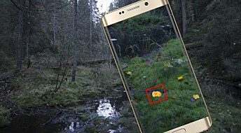 Finding mushrooms with your mobile phone