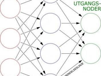 The artificial nerve signals in a neural network are disseminated from the input nodes through the hidden intermediary nodes to the output nodes. Each node is akin to brain cell, and the connecting lines are similar to nerve fibres that connect our brain cells. (Figure: Glosser.ca, CC SA 3.0) The artificial nerve signals in a neural network are disseminated from the input nodes through the hidden intermediary nodes to the output nodes. Each node is akin to brain cell, and the connecting lines are similar to nerve fibres that connect our brain cells. (Figure: Glosser.ca, CC SA 3.0)