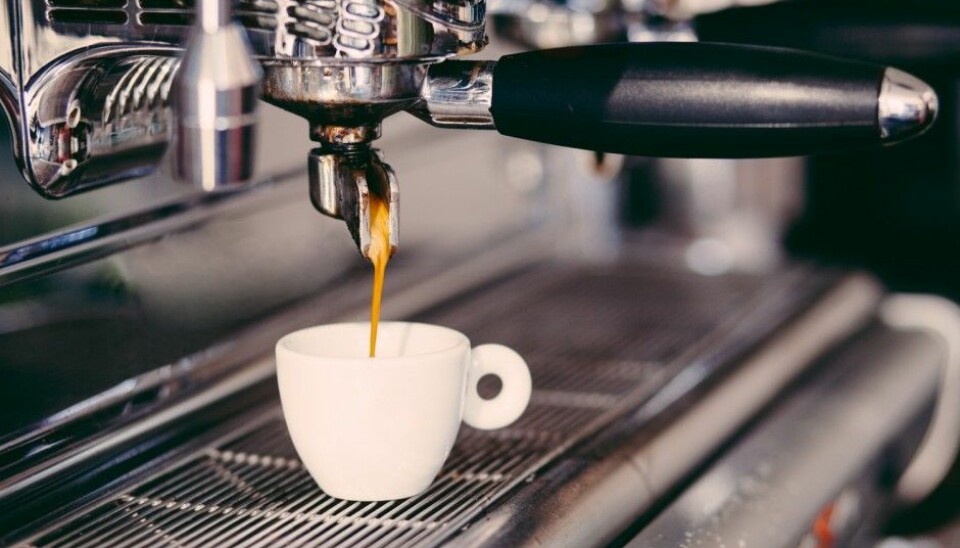 “It takes an average of five hours for the caffeine level to drop by half. After ten to fifteen hours there is not enough left to have any effect,” says Professor Olav Spigset. (Photo: Peter Bernik / Shutterstock / NTB scanpix)