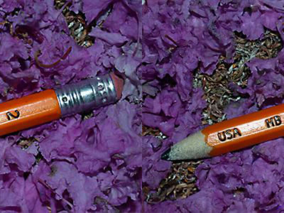 A photo of a pencil before and after manipulation. Can you spot the differences? (Photo: Steven Le Moan, NTNU)
