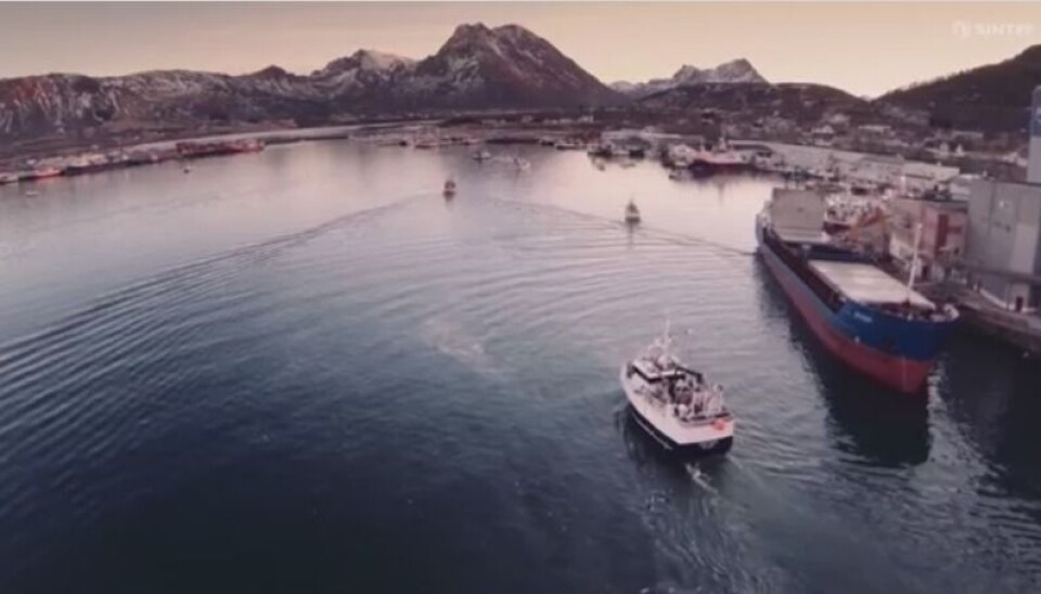 The project partners believe that this innovation can develop into a simple and effective tool. Trawler fishermen have computer monitors in their vessels, and the idea is that in the near future they will be equipped with helpful displays of interactive maps and graphs. (Photo: TYD)