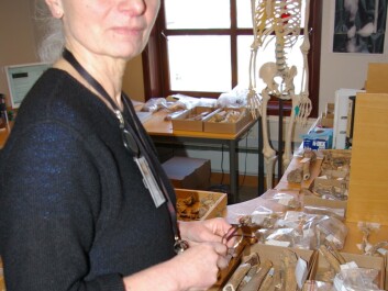 Paula Utigard Sandvik at the Museum of Archaeology in Stavanger, where the skeletons are now being correctly assembled and analysed. (Photo: Bjørnar Kjensli) Paula Utigard Sandvik at the Museum of Archaeology in Stavanger, where the skeletons are now being correctly assembled and analysed. (Photo: Bjørnar Kjensli)