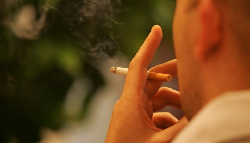 If you smoke as a young man, your future offspring will have a higher risk of getting astma. (Photo: Colourbox)