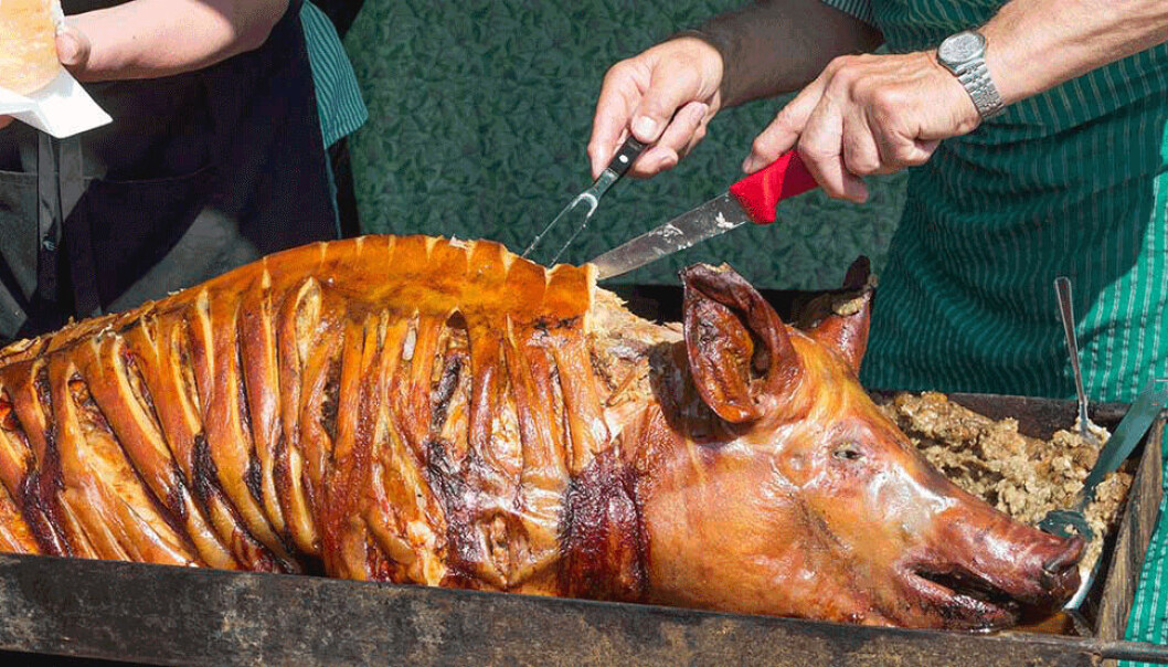 The picture of a roasted pork with head caused empathy with the animal - and disgust for the meat. The researchers think that their findings might cut down meat consumption. Photo illustration: Kunst & Hohle The picture of a roasted pork with head caused empathy with the animal - and disgust for the meat. The researchers think that their findings might cut down meat consumption. Photo illustration: Kunst & Hohle