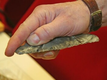 Neolythic flint. The flint blade would have been wedged into a wooden handle and made a good tool for cutting grain. (Photo: Asle Rønning) Neolythic flint. The flint blade would have been wedged into a wooden handle and made a good tool for cutting grain. (Photo: Asle Rønning)