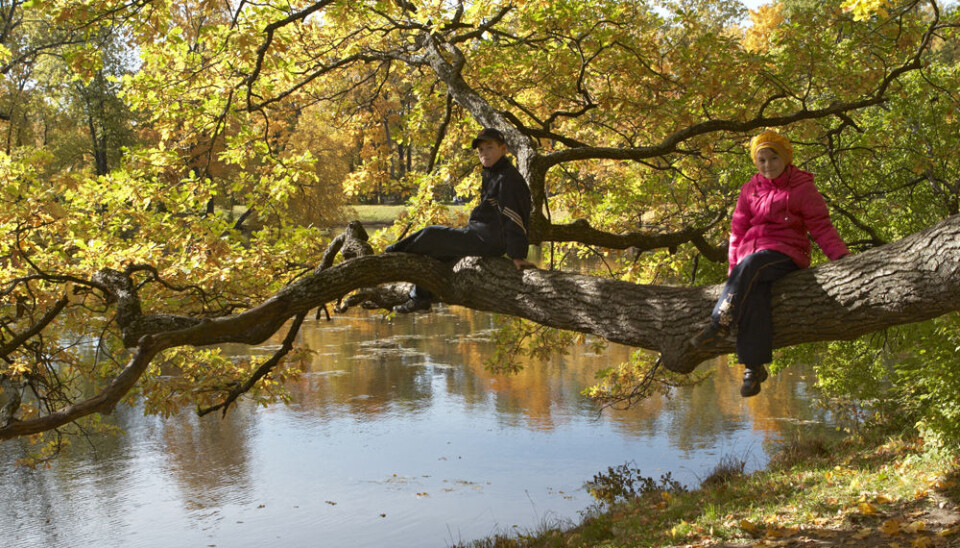 If Norway does not set clearer limitations to the public access to land, we risk sawing off the branch we’re sitting on, scientist remarks. (Photo: Colourbox)