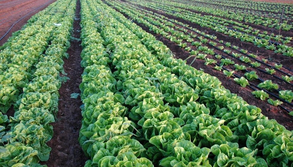 Oceans are not the only receivers of microplastics. (Photo: Wikimedia Commons)