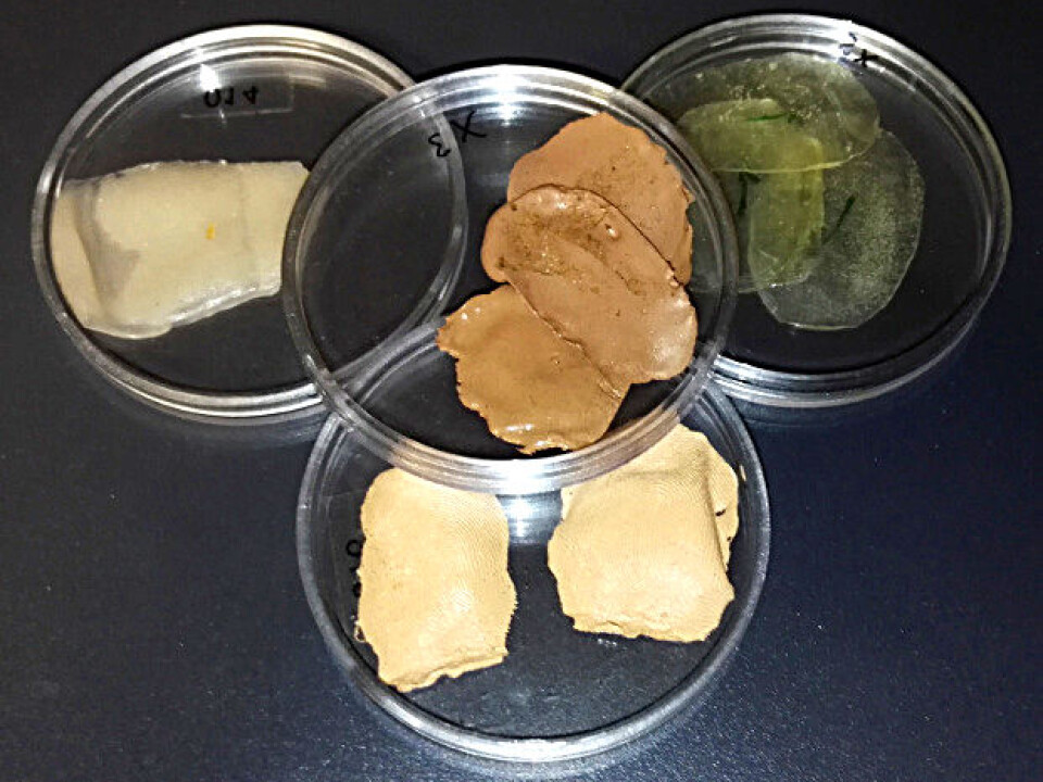 These are the kinds of materials used to make fake fingerprints. Photo: Ctirad Sousedik