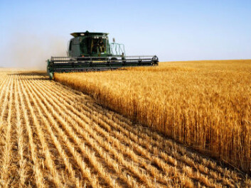 Could modern agricultural products be giving us health problems because we are not genetically adapted to them? (Photo: iStockphoto) Could modern agricultural products be giving us health problems because we are not genetically adapted to them? (Photo: iStockphoto)