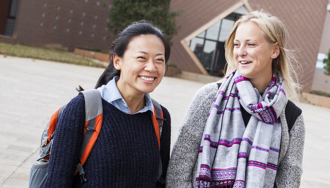 A SIU-survey shows that international students are very satisfied with the quality of study programmes. (Photo: Ingvild M. Festervoll/SIU) A SIU-survey shows that international students are very satisfied with the quality of study programmes. (Photo: Ingvild M. Festervoll/SIU)