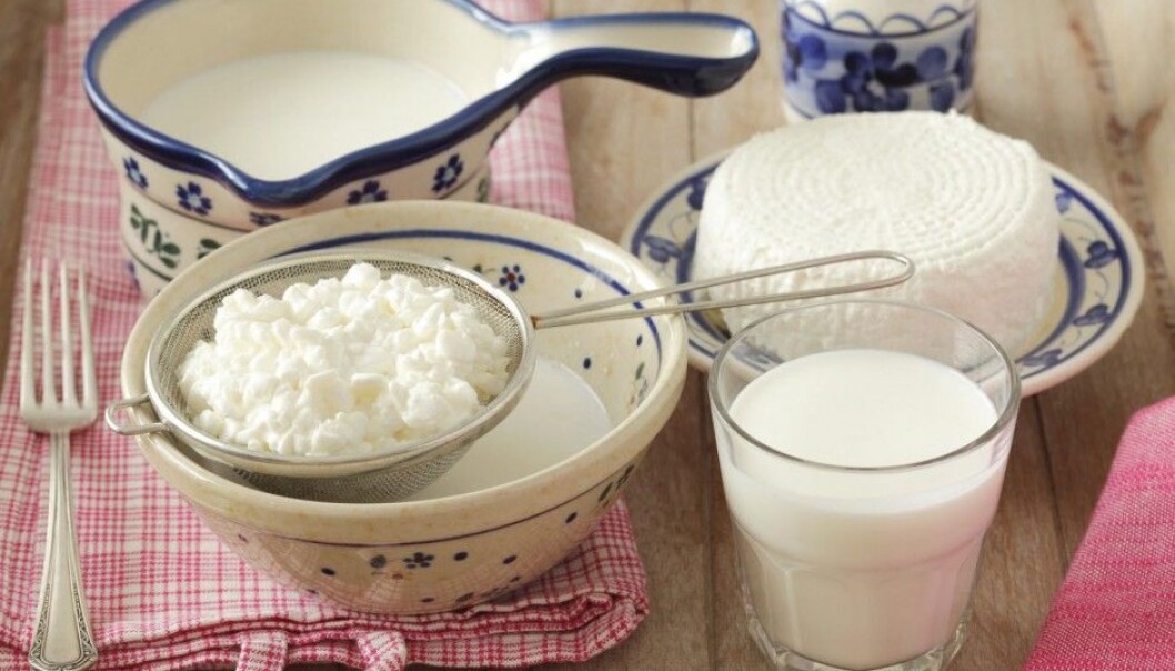 The proteins in milk and cheese might have a special quality that helps keep you slim, according to new research. At least if you are a mouse. (Photo: Bon Appetit / NTB Scanpix) The proteins in milk and cheese might have a special quality that helps keep you slim, according to new research. At least if you are a mouse. (Photo: Bon Appetit / NTB Scanpix)