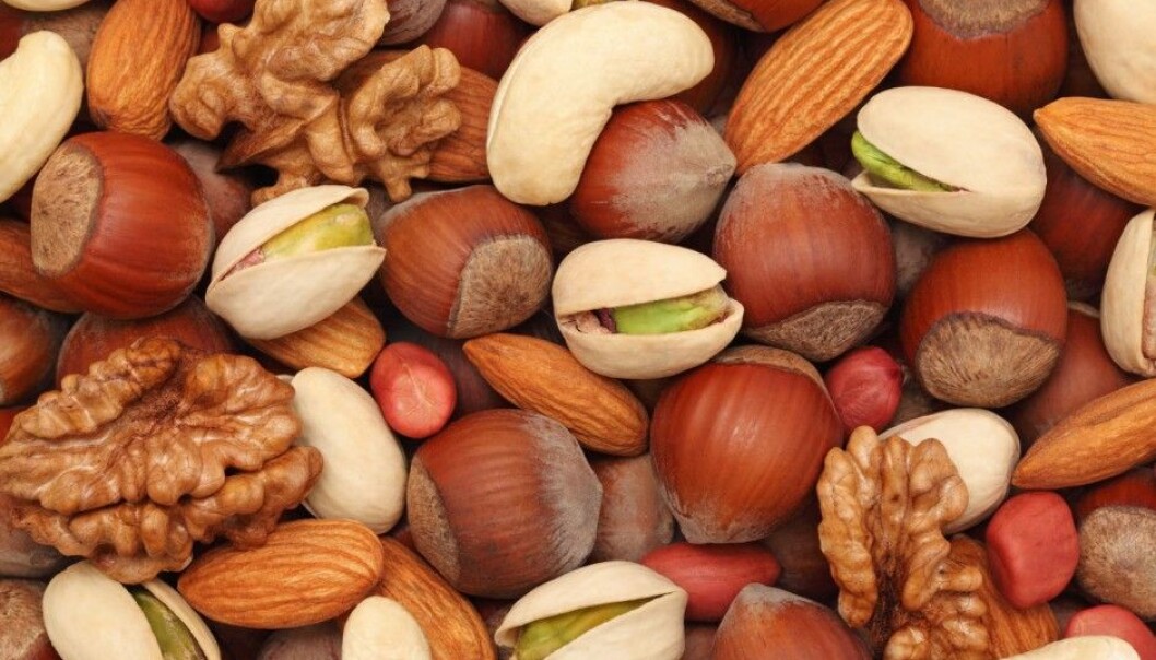 Research shows it could be a good idea to include a handful of nuts in your daily diet. (Photo: Artem Samokhvalov / Shutterstock / NTB scanpix) Research shows it could be a good idea to include a handful of nuts in your daily diet. (Photo: Artem Samokhvalov / Shutterstock / NTB scanpix)