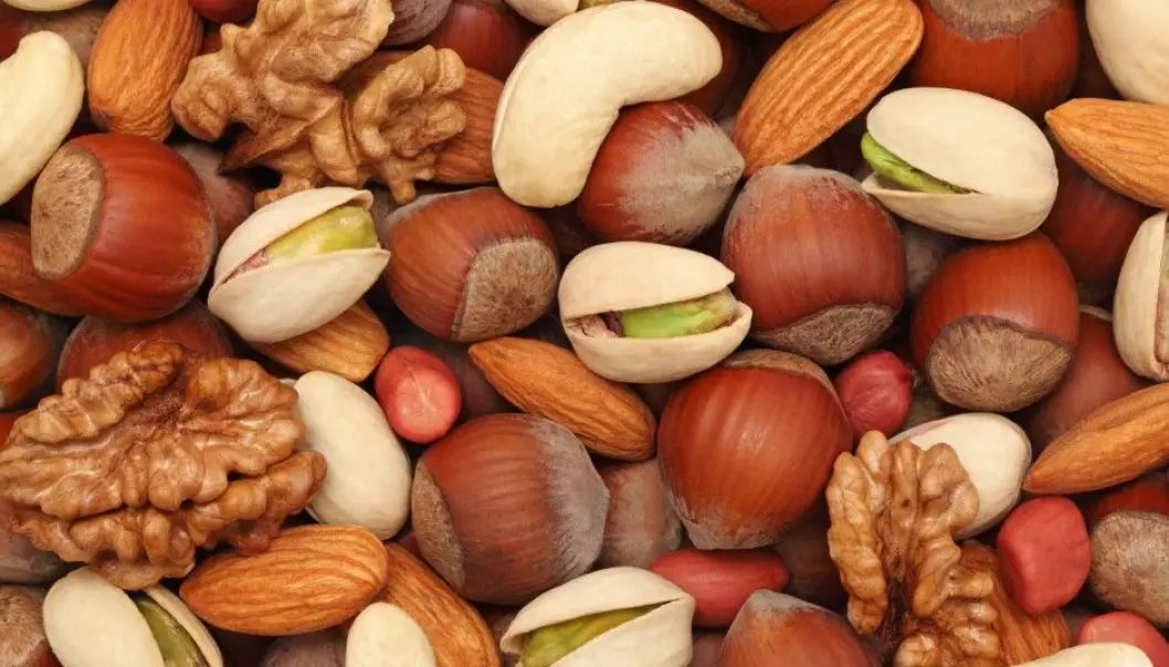 Research shows it could be a good idea to include a handful of nuts in your daily diet. (Photo: Artem Samokhvalov / Shutterstock / NTB scanpix)