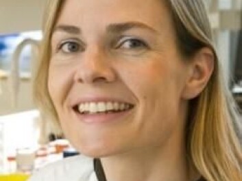 Johanna Olweus, a researcher and professor at the University of Oslo and the Norwegian Radium Hospital. (Photo: University of Oslo) Johanna Olweus, a researcher and professor at the University of Oslo and the Norwegian Radium Hospital. (Photo: University of Oslo)