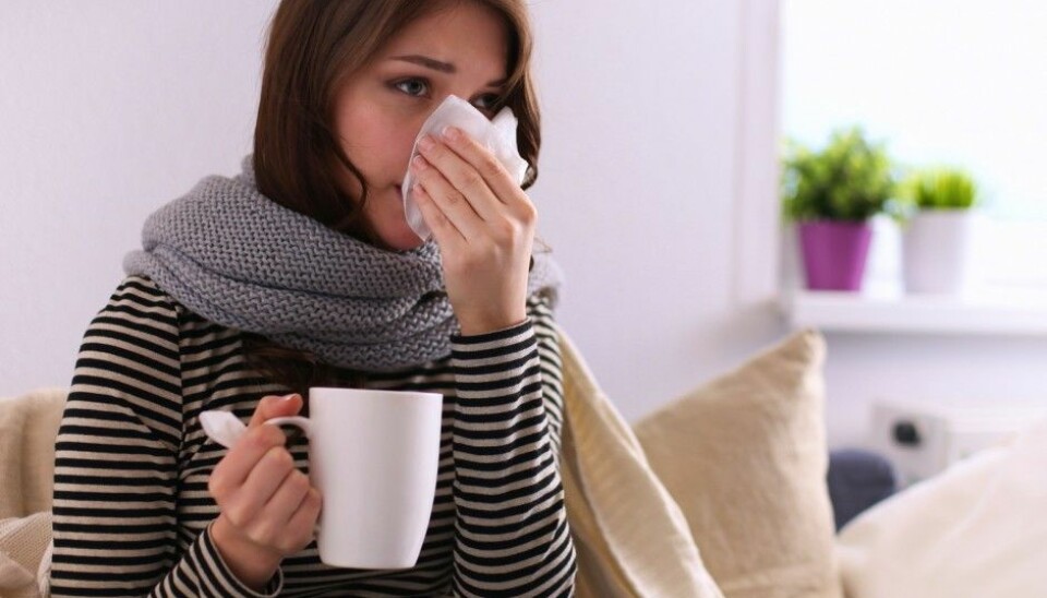 There’s no harm in drinking a couple extra cups of tea to soothe a sore throat. But if you have a respiratory infection and no fever there is no need to drink more than usual. (Photo: Shutterstock / NTB scanpix)