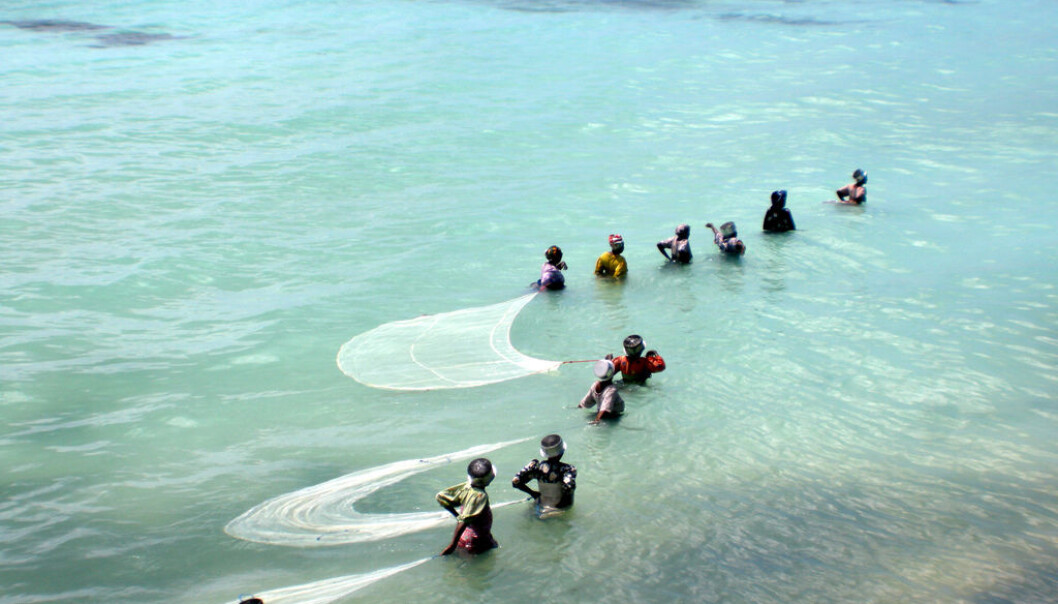 Women have a strong presence in the fisheries and aquaculture across the world. (Photo: Matt Kiefer/Flickr/CC BY-SA 2) Women have a strong presence in the fisheries and aquaculture across the world. (Photo: Matt Kiefer/Flickr/CC BY-SA 2)