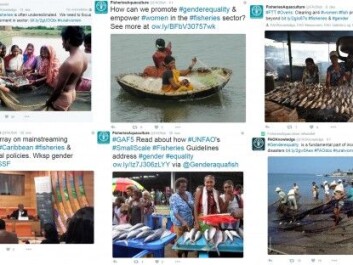 FAO puts gender on the agenda through social media. (facsimile from Twitter) FAO puts gender on the agenda through social media. (facsimile from Twitter)