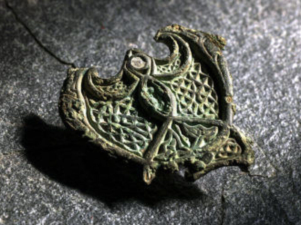 In 2016, this piece of jewellery was found in the soil at Agdenes farm, situated at the outermost part of the Trondheim Fjord in Mid-Norway. (Photo: Åge Hojem/NTNU University Museum)
