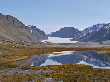 Ringhorndalen by Wijdefjorden on Spitzbergen, the largest island of Svalbard. This is where the little moth, native to Svalbard, was re-discovered after being missing for over 140 years. (Photo: Geir E. E. Søli) Ringhorndalen by Wijdefjorden on Spitzbergen, the largest island of Svalbard. This is where the little moth, native to Svalbard, was re-discovered after being missing for over 140 years. (Photo: Geir E. E. Søli)