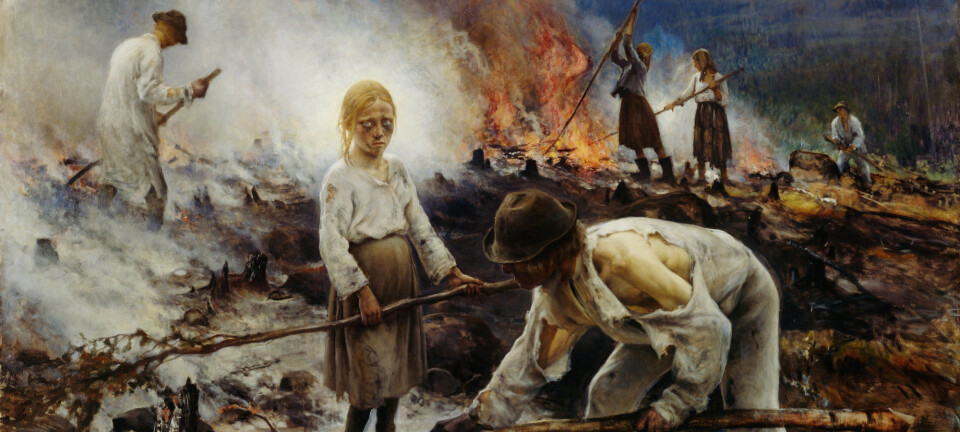 Forest fires tell a 700 year old tale