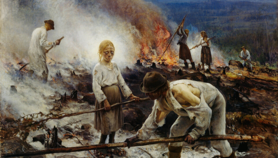 During 1600-1700 the frequency of forest fires increased dramatically. On average, the period between forest fires was reduced from 73 to 37 years. The increased number of early season fires came at the same time as humans started using fires to improve the conditions for grazing animals, using slash-and-burn to cultivate crops such as rye and turnip. Such activity was still common in Northern Finland at the end of the 19th century, as it is depicted in the Finnish painter Eero Järnefelt’s painting «Trälar under penningen» («Slaves under the dime»). (Photographed by: Hannu Aaltonen)