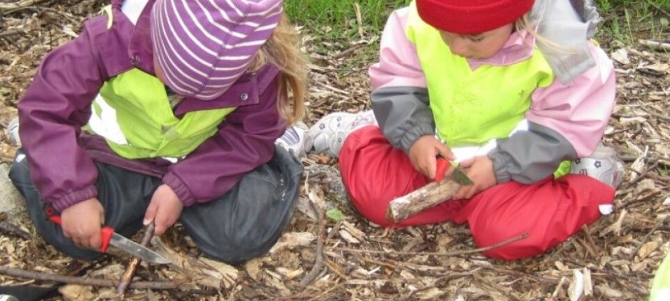 Immigrant parents have different expectations of Norwegian kindergartens