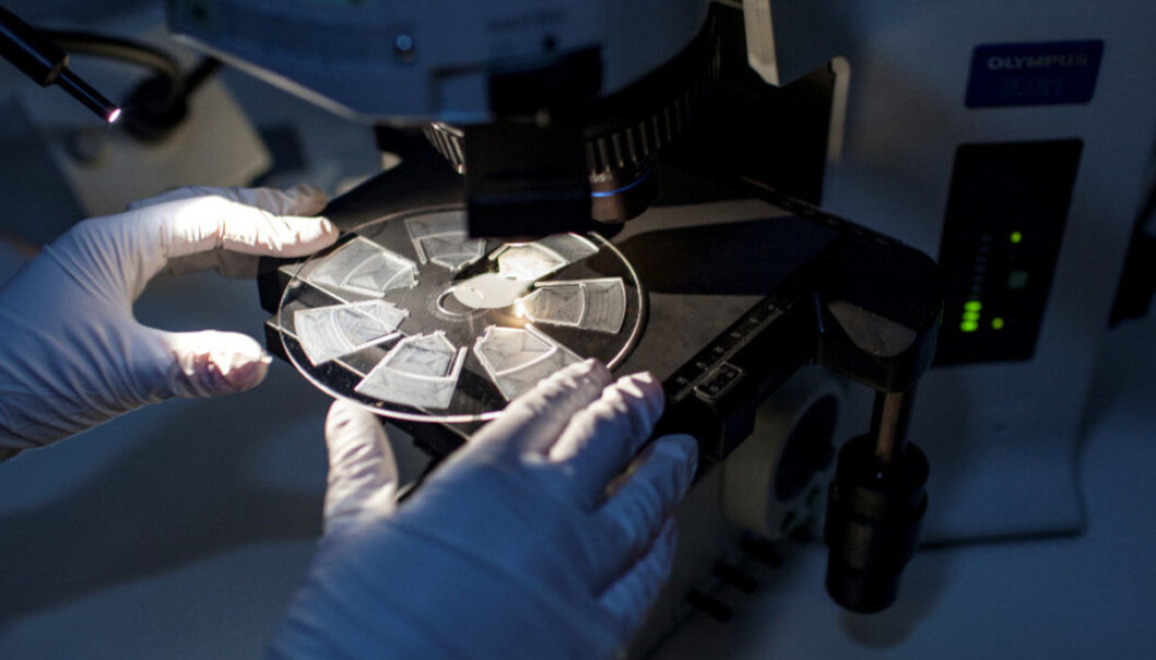 This new analytical technique will make it easier for doctors to provide patients with safe and correct antibiotic treatments. The test analyses a patient’s blood samples by scanning across a specially designed disc-shaped cartridge which is about the same size as a traditional CD. But instead of audio tracks, the cartridge is equipped with small channels and compartments in which the blood sample reacts with a selection of allergens. Photo: Remy Eik-Nikolaisen
This new analytical technique will make it easier for doctors to provide patients with safe and correct antibiotic treatments. The test analyses a patient’s blood samples by scanning across a specially designed disc-shaped cartridge which is about the same size as a traditional CD. But instead of audio tracks, the cartridge is equipped with small channels and compartments in which the blood sample reacts with a selection of allergens. Photo: Remy Eik-Nikolaisen