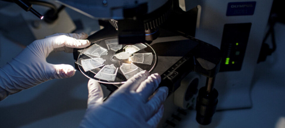 New allergy test promises safer antibiotic use