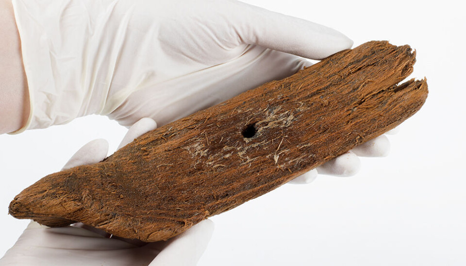 The toy boat had a hole in the middle where a mast could have been stepped, allowing a child to sail the boat. (Photo: Åge Hojem, NTNU University Museum)