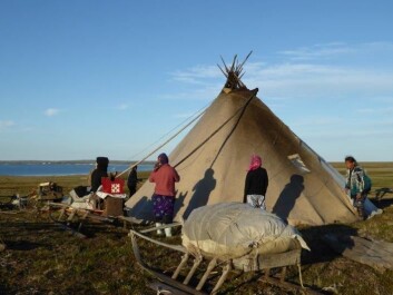 The Nenets’ traditional dwelling tent is called “chum” in Russian, a word derived from the Udmurt language. The Nenets word for the structure is “mya”. Today the whole family builds the mya, but previously only women and children built it. (Photo: Zoia Vylka Ravna) The Nenets’ traditional dwelling tent is called “chum” in Russian, a word derived from the Udmurt language. The Nenets word for the structure is “mya”. Today the whole family builds the mya, but previously only women and children built it. (Photo: Zoia Vylka Ravna)