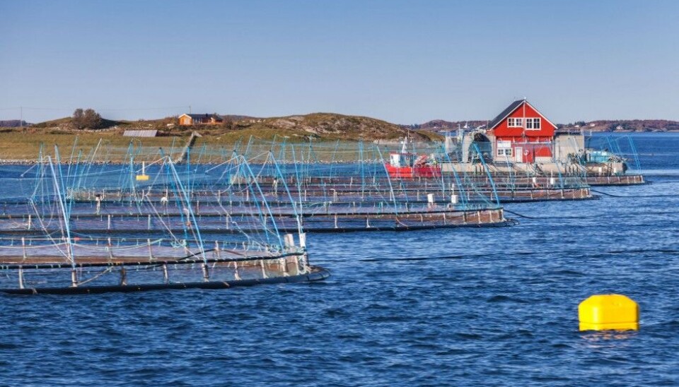 (Illustrative photo: Colourbox)