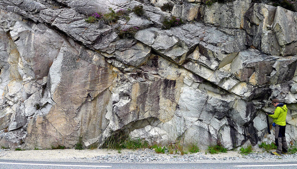 Norwegian researchers have found a new method to date when tectonic shifts first occurred. The picture shows geologist Giulio Viola mapping and taking samples from a brittle fault zone in Bømlo in Hordaland county (photo: Thomas Scheiber, NGU).