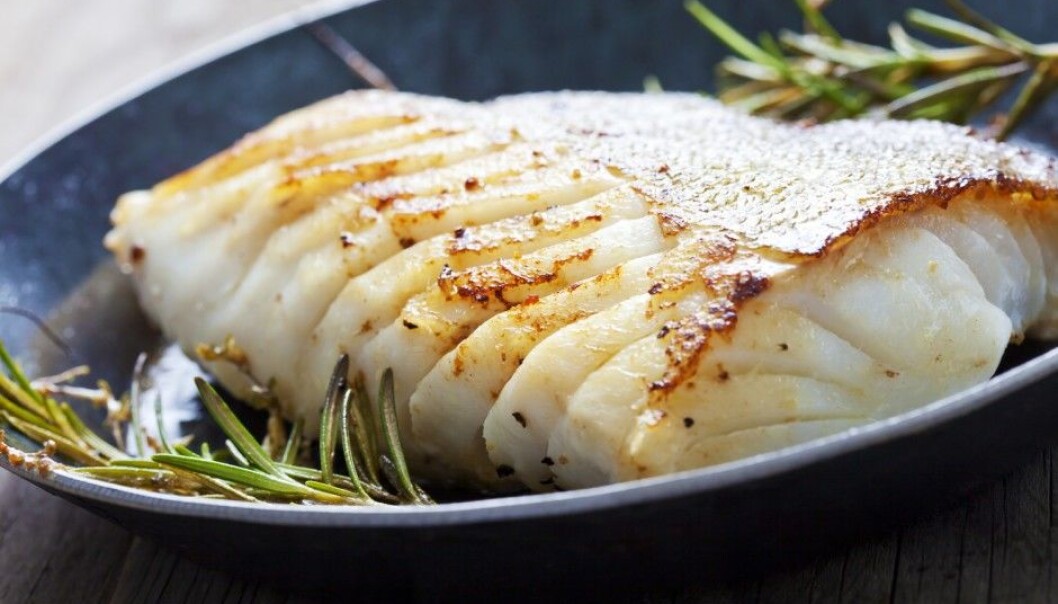 Lean fish like cod have been overshadowed by the acclaimed health benefits of fatty fish. But lean fish may be better for your health, especially for overweight men, a new study suggests. (Photo: Shutterstock / NTB / Scanpix) Lean fish like cod have been overshadowed by the acclaimed health benefits of fatty fish. But lean fish may be better for your health, especially for overweight men, a new study suggests. (Photo: Shutterstock / NTB / Scanpix)