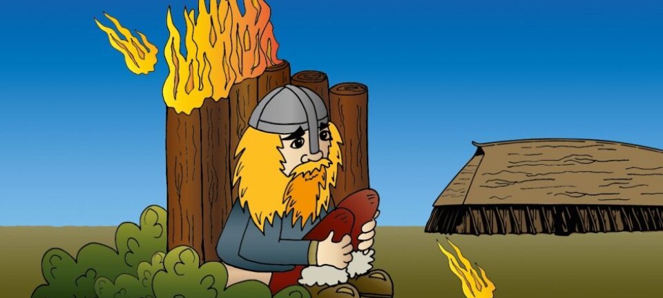 1,000-year-old Viking toilet uncovered in Denmark