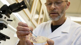 Indestructible bacteria threaten cancer patients